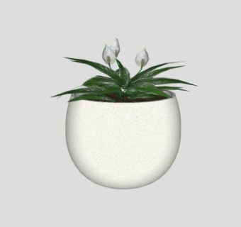 白鹤芋陶瓷盆栽SU模型下载_sketchup草图大师SKP模型