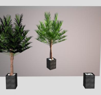 小型棕榈树盆栽SU模型下载_sketchup草图大师SKP模型