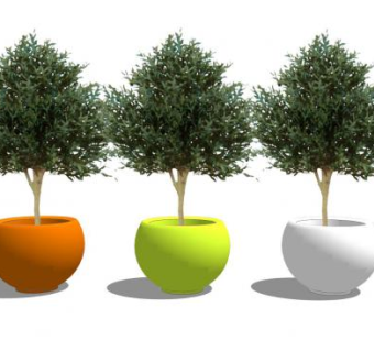 彩色盆栽植物SU模型下载_sketchup草图大师SKP模型