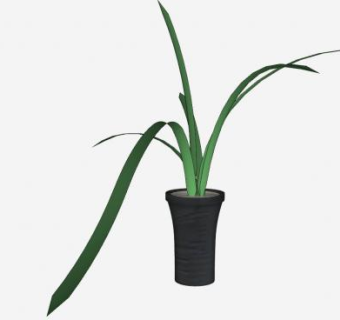 君子兰盆栽SU模型下载_sketchup草图大师SKP模型