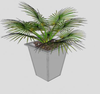 小型棕榈盆栽SU模型下载_sketchup草图大师SKP模型
