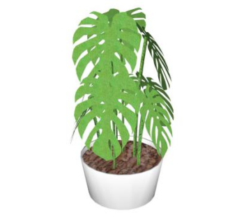 龟背竹白色盆栽SU模型下载_sketchup草图大师SKP模型