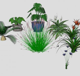 室内盆栽系列SU模型下载_sketchup草图大师SKP模型