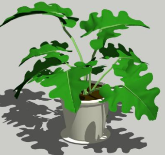 春羽盆栽植物SU模型下载_sketchup草图大师SKP模型
