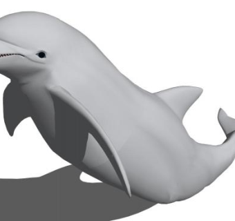 海豚的su模型下载_sketchup草图大师SKP模型