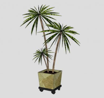 龙血树滑轮盆栽SU模型下载_sketchup草图大师SKP模型