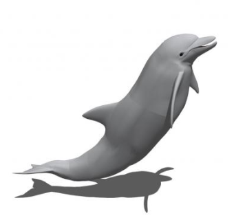 鲸类海豚SU模型下载_sketchup草图大师SKP模型