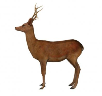 现代鹿SU模型下载_sketchup草图大师SKP模型