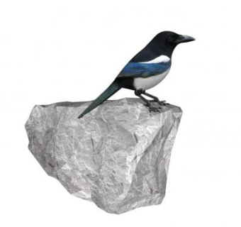 石头上的鸟SU模型下载_sketchup草图大师SKP模型