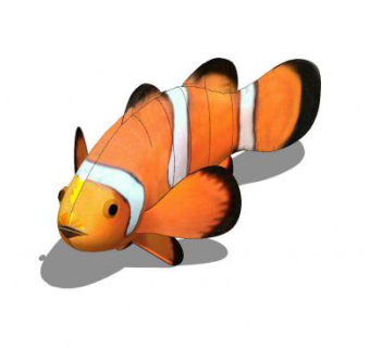 小丑鱼SU模型下载_sketchup草图大师SKP模型
