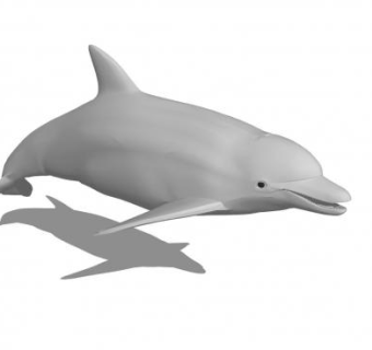 现代海豚sketchup模型下载_sketchup草图大师SKP模型