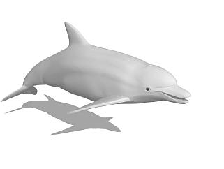 现代海豚sketchup模型下载_sketchup草图大师SKP模型