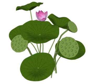 莲蓬su模型下载_sketchup草图大师SKP模型