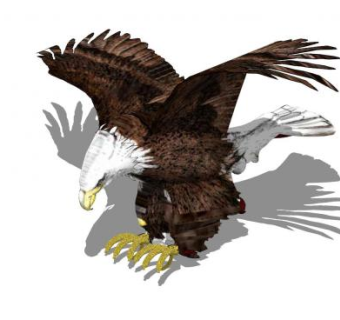 白头鹰SU模型下载_sketchup草图大师SKP模型