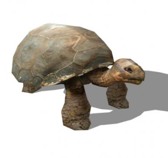 现代乌龟SU模型下载_sketchup草图大师SKP模型