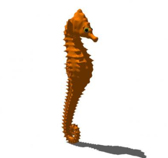 海马动物SU模型下载_sketchup草图大师SKP模型