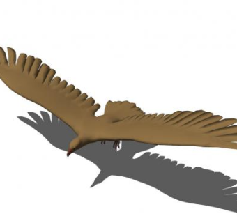 鹰动物SU模型下载_sketchup草图大师SKP模型