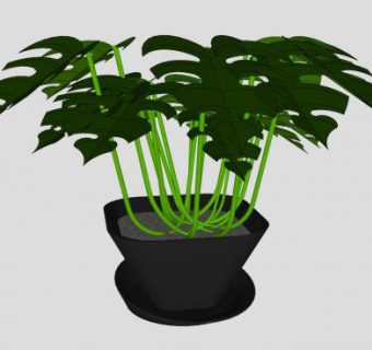 喜林芋盆栽装饰SU模型下载_sketchup草图大师SKP模型