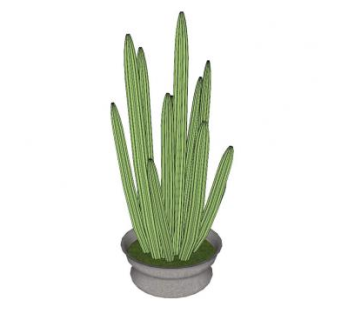 仙人柱盆栽SU模型下载_sketchup草图大师SKP模型