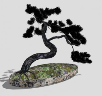 松木盆景SU模型下载_sketchup草图大师SKP模型
