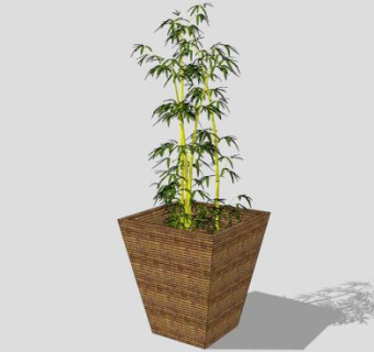 竹子盆栽SU模型下载_sketchup草图大师SKP模型