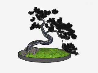 带苔藓岩石的松树盆景SU模型下载_sketchup草图大师SKP模型