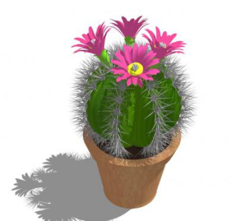 开花仙人球盆栽SU模型下载_sketchup草图大师SKP模型