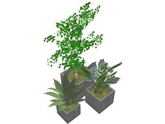 <em>树木</em>和植物<em>盆栽</em>SU模型下载_sketchup草图大师SKP模型