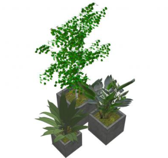 树木和植物盆栽SU模型下载_sketchup草图大师SKP模型