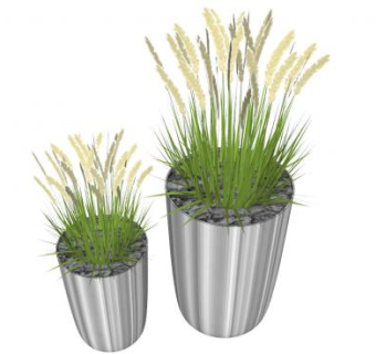 禾本植物盆栽SU模型下载_sketchup草图大师SKP模型