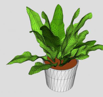 家居室内观叶盆栽SU模型下载_sketchup草图大师SKP模型