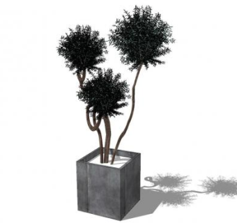 榆木盆景SU模型下载_sketchup草图大师SKP模型