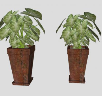 室内合果芋盆栽SU模型SU模型下载_sketchup草图大师SKP模型