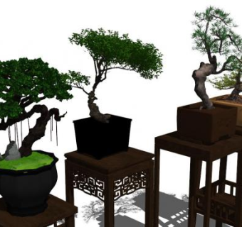 新中式罗汉松su模型下载_sketchup草图大师SKP模型