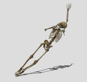人形骷髅SU模型下载_sketchup草图大师SKP模型