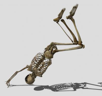 人形骷髅形态SU模型下载_sketchup草图大师SKP模型