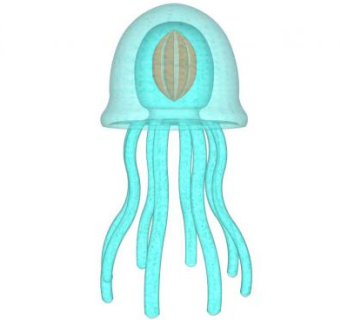 水母su模型下载_sketchup草图大师SKP模型