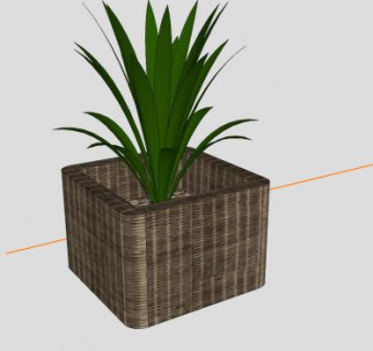 户外花箱观赏植物SU模型下载_sketchup草图大师SKP模型