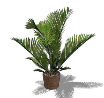 藤篓盆栽棕榈树SU模型下载_sketchup草图大师SKP模型