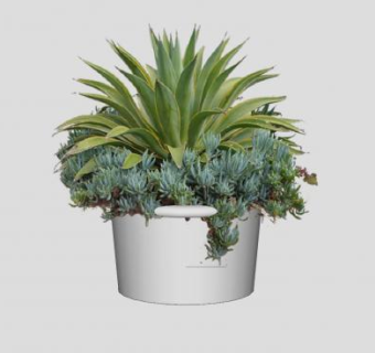 龙舌兰盆栽SU模型下载_sketchup草图大师SKP模型