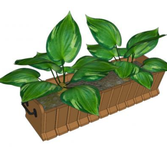 观叶花箱SU模型下载_sketchup草图大师SKP模型