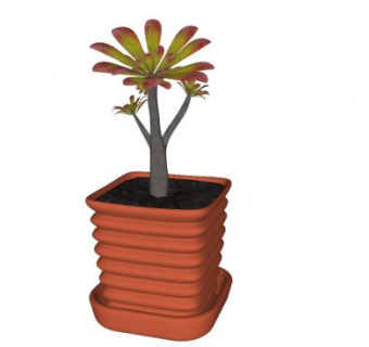 开花盆栽SU模型下载_sketchup草图大师SKP模型