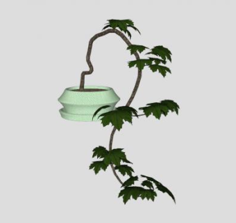 盆景植物SU模型下载_sketchup草图大师SKP模型