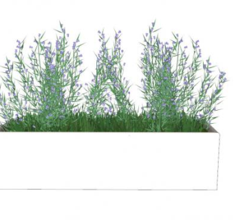 薰衣草盆栽SU模型下载_sketchup草图大师SKP模型