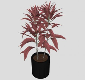 朱蕉盆栽SU模型下载_sketchup草图大师SKP模型