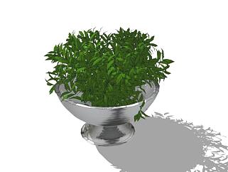 银器盆栽植物SU模型下载_sketchup草图大师SKP模型