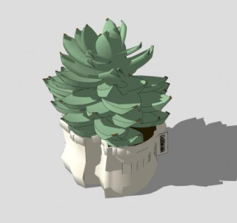 现代多肉盆栽SU模型下载_sketchup草图大师SKP模型