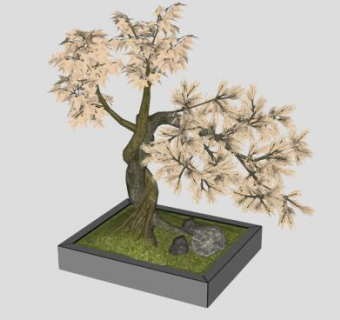 盆景艺术乔木SU模型下载_sketchup草图大师SKP模型