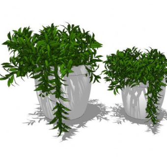观叶绿植盆栽SU模型下载_sketchup草图大师SKP模型