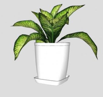 观叶盆栽SU模型下载_sketchup草图大师SKP模型